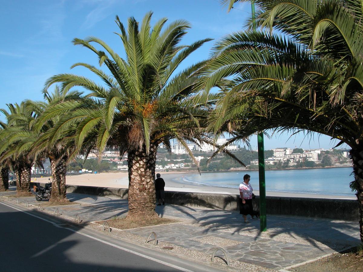 Santa Cristina Beach Oleiros Spain Esterno foto